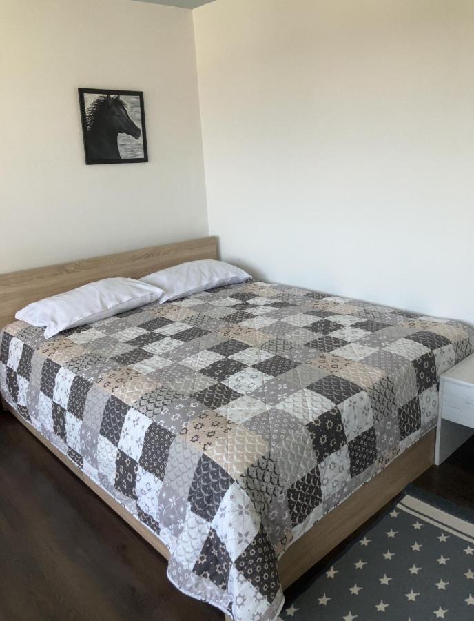 Apartament Blue Moon Nowy Sad Zewnętrze zdjęcie